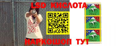 тгк Кимры