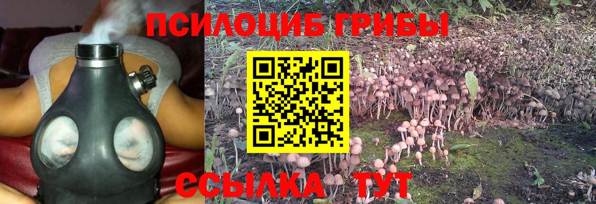 Псилоцибиновые грибы Magic Shrooms Комсомольск-на-Амуре